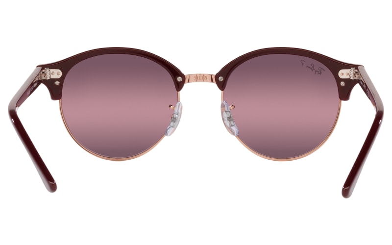Rb4246 polarised 2025