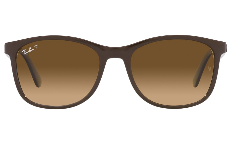 Ray ban hot sale 2184 polarized