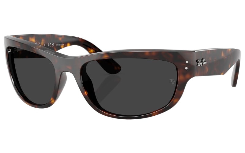 Ray-Ban Mega Balorama RB2289 Glass Polarized Sunglasses | Mack's