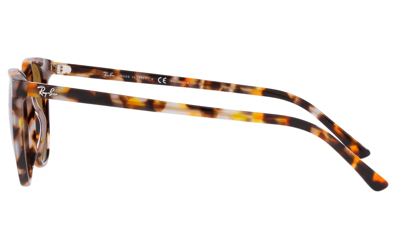 Ray-Ban Elliot RB2197 Glass Polarized Sunglasses | Bass Pro Shops