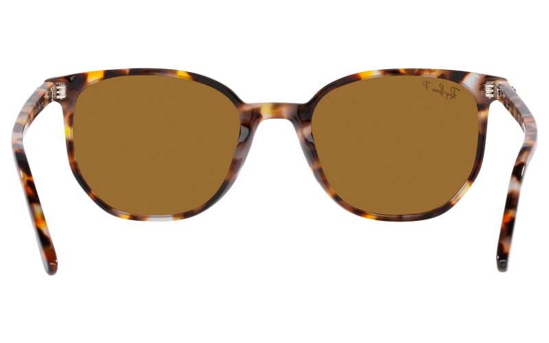 Ray-Ban Elliot RB2197 Glass Polarized Sunglasses | Bass Pro Shops
