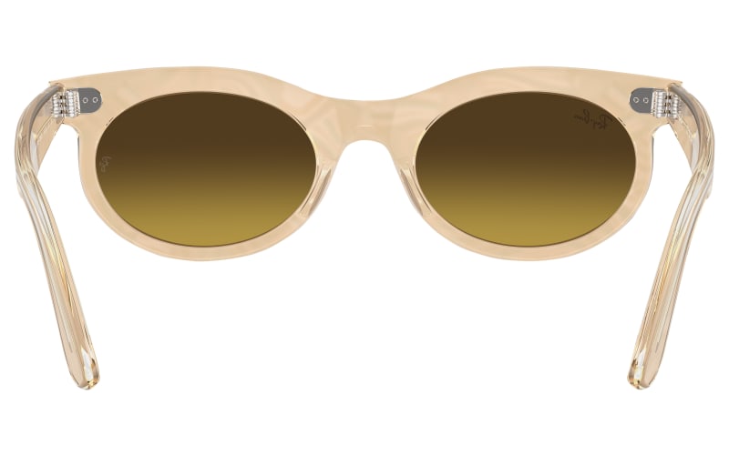 Ray-Ban women’s Olive Frame with Brown Gradient Lenses Sunglasses Ray-Ban RB 3765 (001/51) RB3765001/51 Sunglasses Man Woman  main image 4