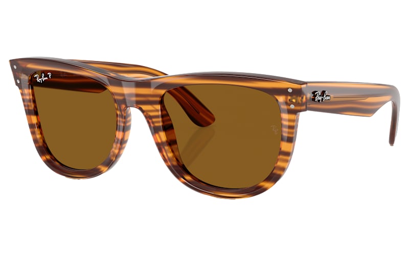 Ray-Ban Wayfarer Reverse RBR0502S Sunglasses | Cabela's