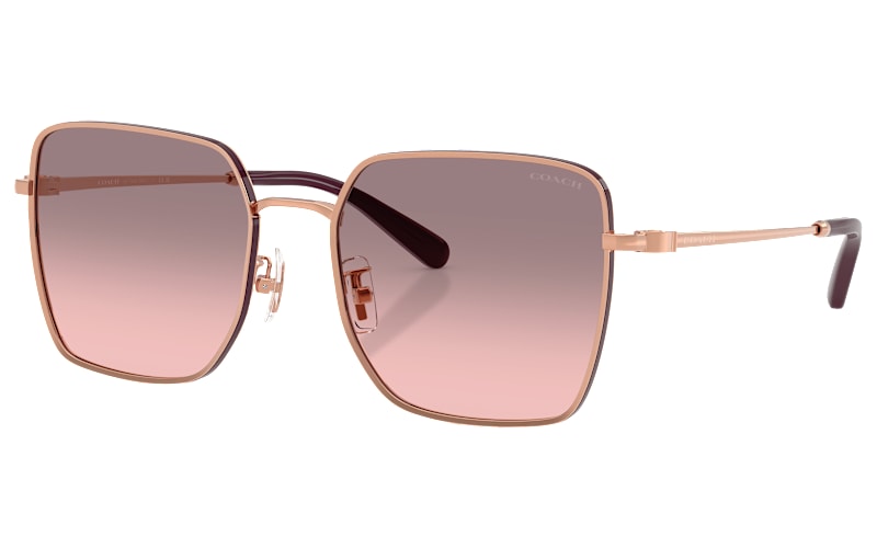 COACH HC7184D Sunglasses for Ladies | Cabela display picture 2