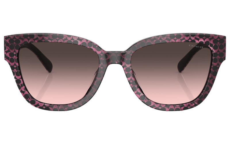 COACH HC8379U Sunglasses for Ladies | Cabela display picture 3