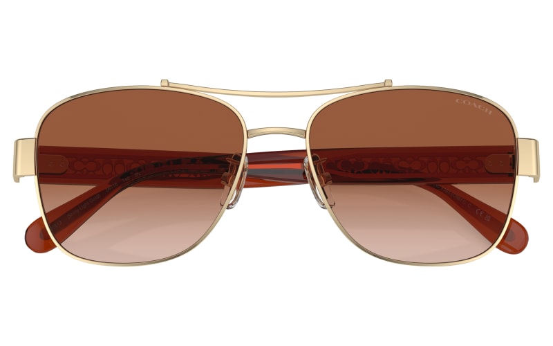 COACH HC7161 Sunglasses for Ladies | Bass Pro Shops display picture 2