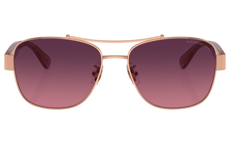 COACH HC7161 Polarized Sunglasses for Ladies | Mack display picture 1