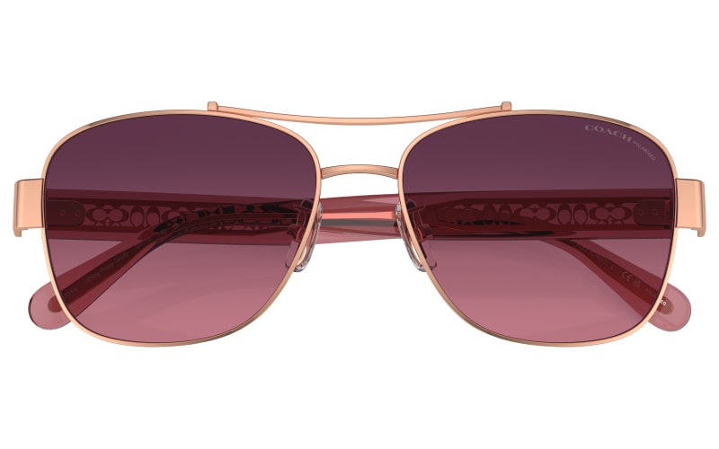 COACH HC7161 Polarized Sunglasses for Ladies | Mack display picture 2