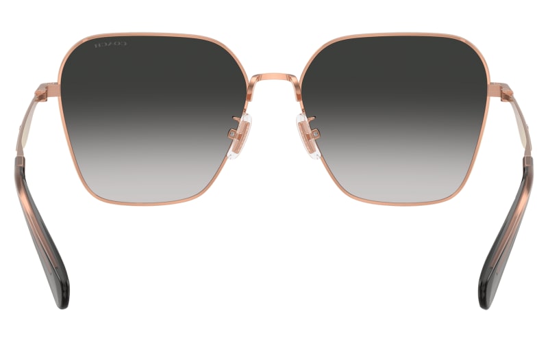 COACH HC7168 Sunglasses for Ladies | Mack's Prairie Wings
