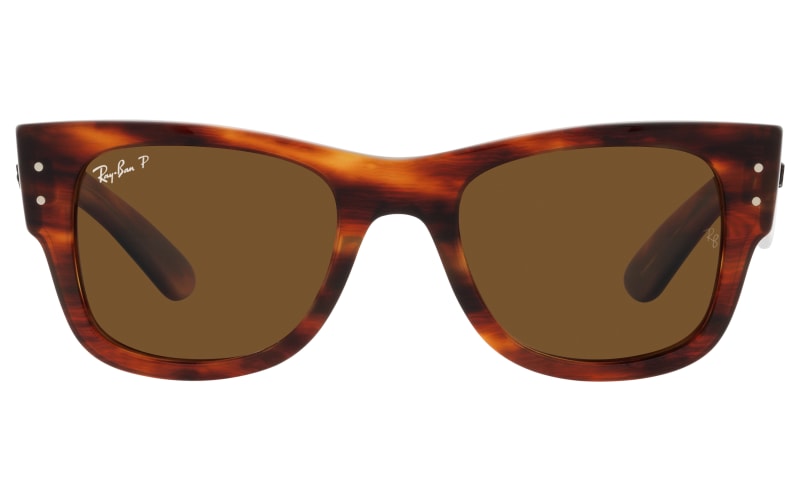 Ray ban wayfarer brown polarized 2025