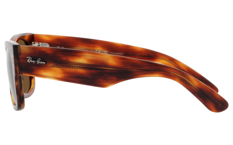 Wayfarer polarized sunglasses shop