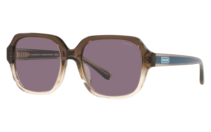 COACH HC8335 Sunglasses for Ladies | Bass Pro Shops display picture 1