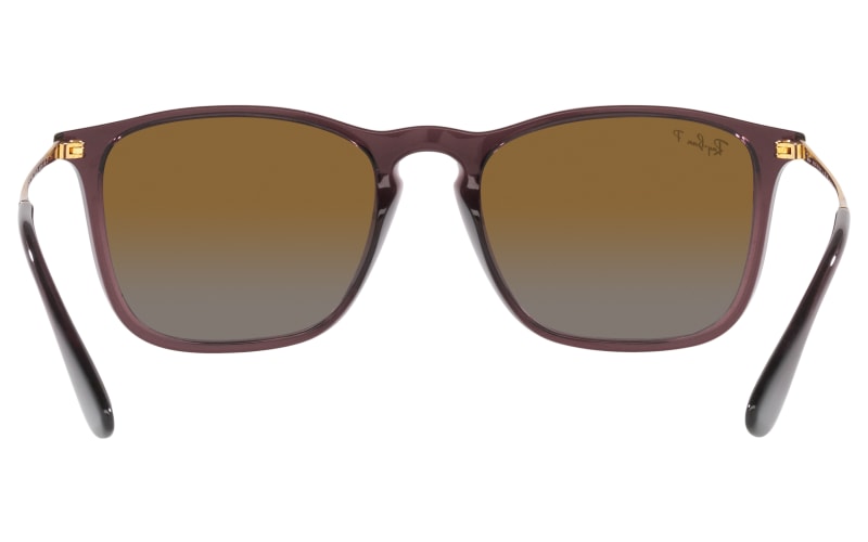 Rb4187 polarized on sale