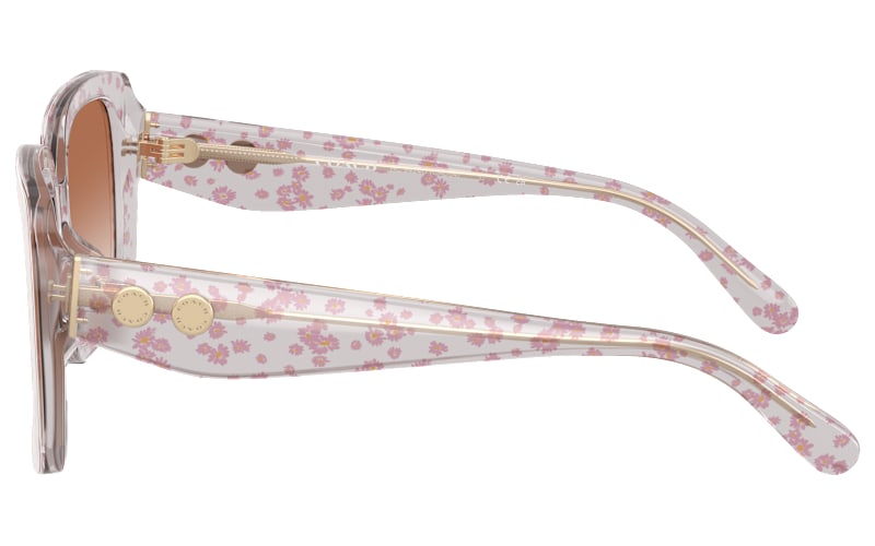 COACH HC8424U Sunglasses for Ladies | Cabela display picture 2
