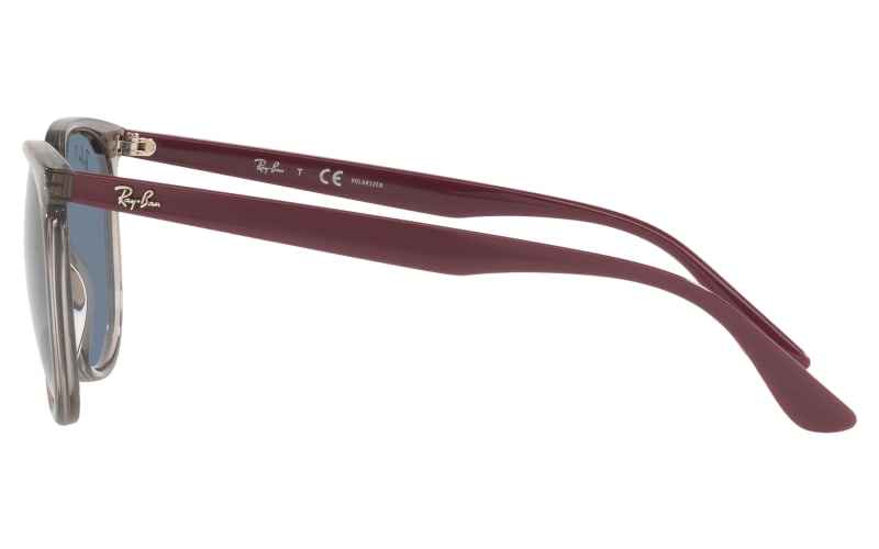 Rb4259 polarized online
