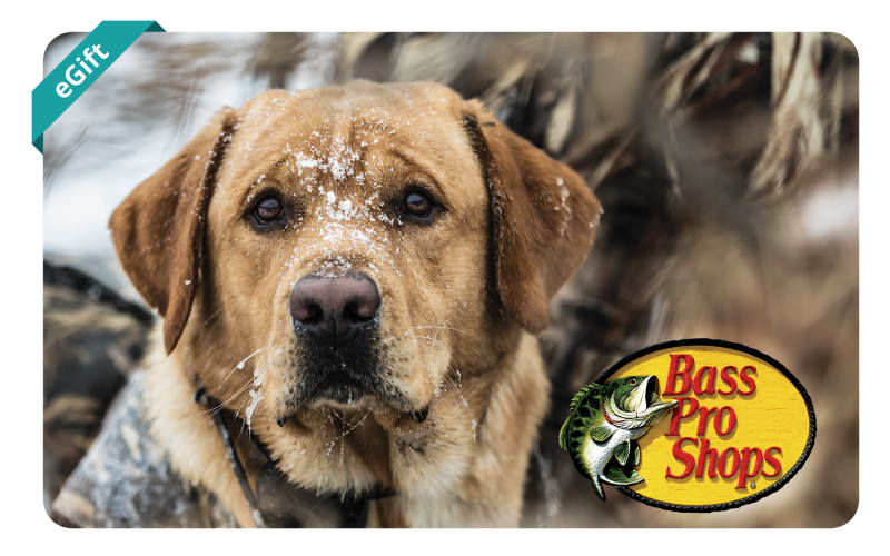 Bass pro shop e gift card online