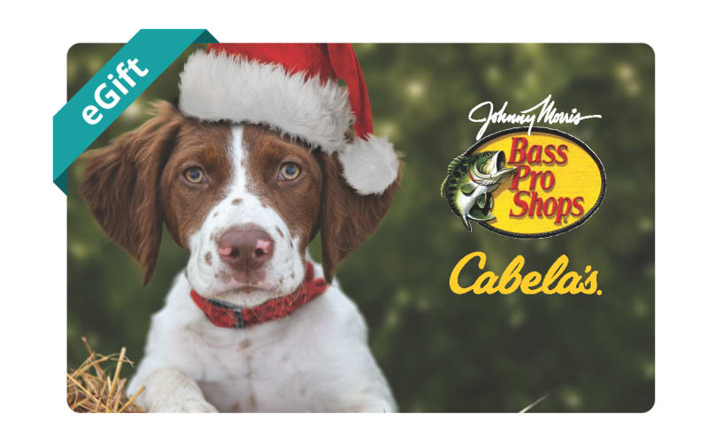Bass Pro Shops and Cabela s Santa Dog eGift Card 10