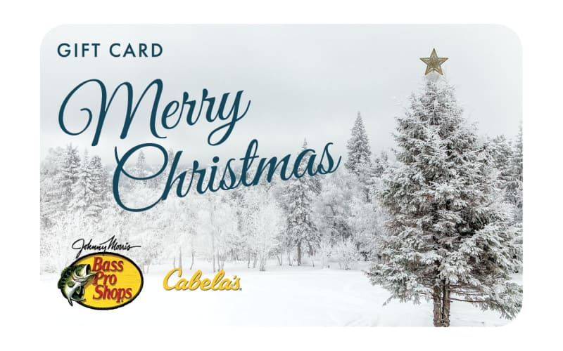 Bass Pro Shops and Cabela's Snowy Christmas Tree Gift Card ...
