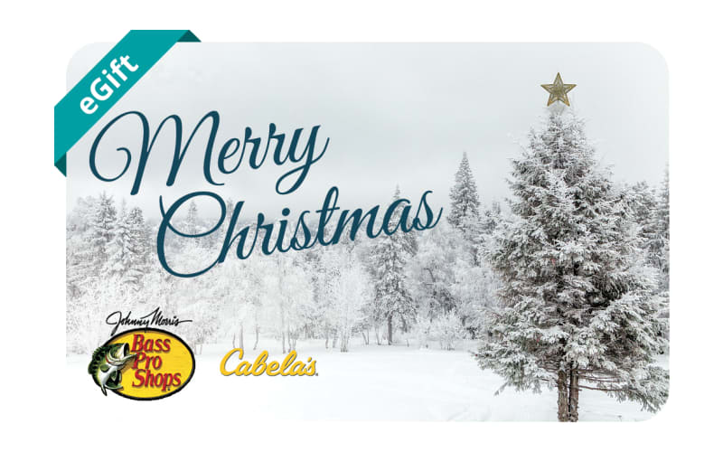 Merry Christmas E-Gift Card