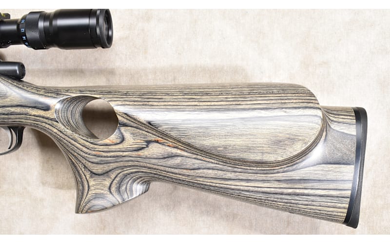 REMINGTON ~ XR-100 ~ .223 REMINGTON | Mack's Prairie Wings