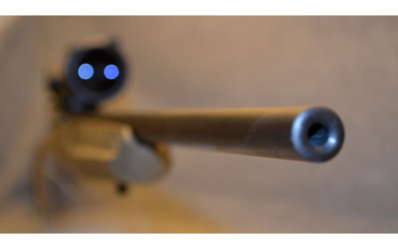 Savage Arms AXIS 243 Winchester | Bass Pro Shops