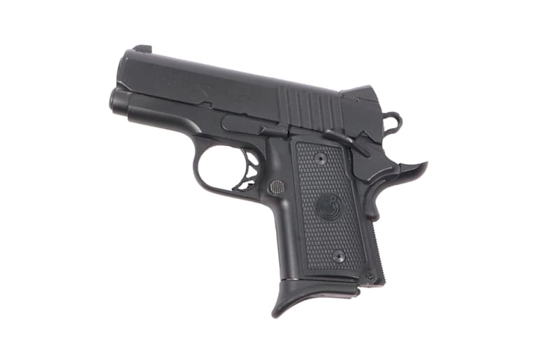 Para Ordnance ~ Warthog ~ .45 ACP | Mack's Prairie Wings