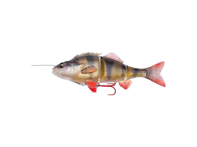 さーページ Savage Gear® 4D Line Thru Perch | Bass Pro Shops Canada