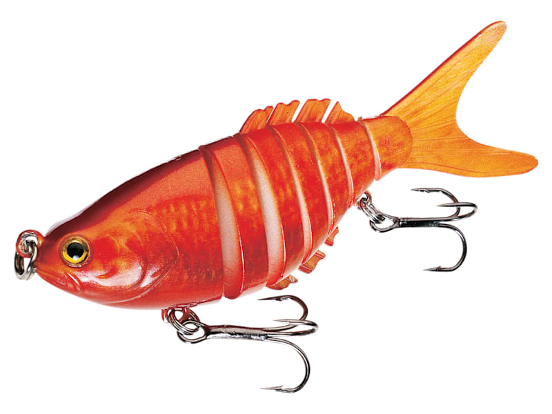 テイムパターソンシエープフィッシュ テイムパターソンシエープフィッシュ Timmy patterson