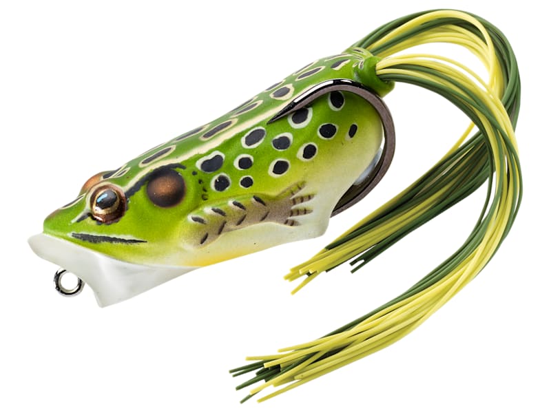 LIVETARGET Hollow-Body Frog Popper | Bass Pro Shops