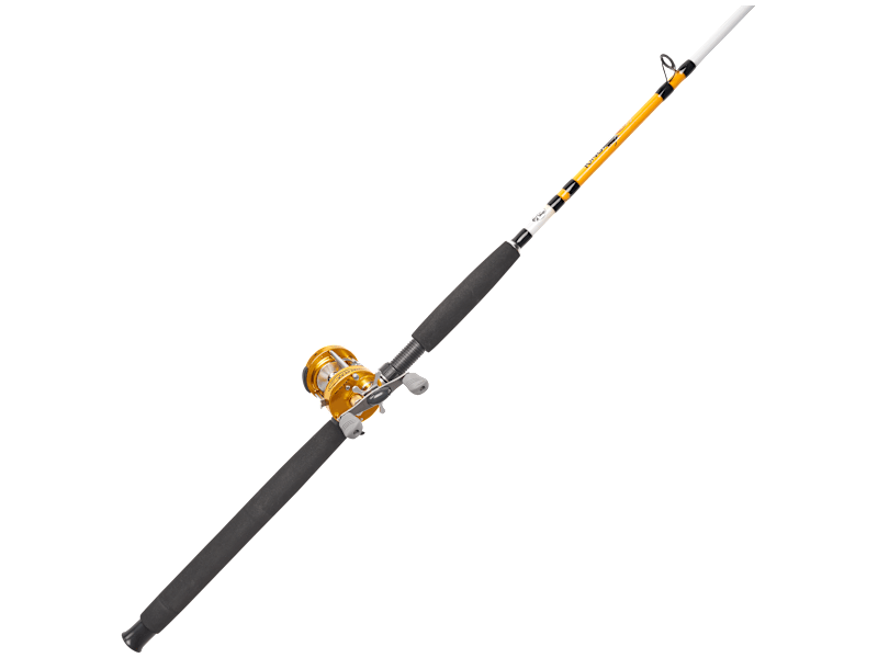 Spinning Combo Pro Cat Fishing Rod And Reel Catfish Catmaxx Rod
