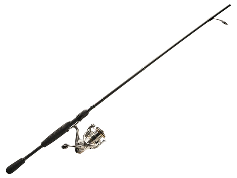 SHIMANO - BOING master1_101695539_main?pgw=1