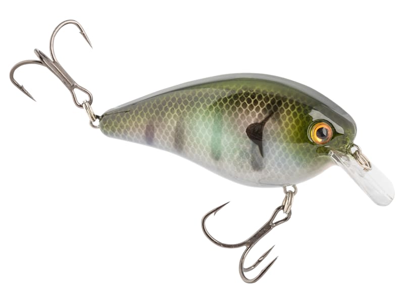 Strike King KVD8.0×4 Strike King KVD Elite Squarebill Crankbait | Bass Pro Shops