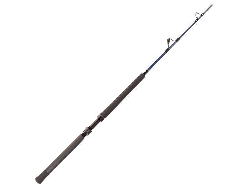 ロッド TIAGRA TI-50s Shimano Tiagra TI50WLRSA 2-Speed Fishing Reel