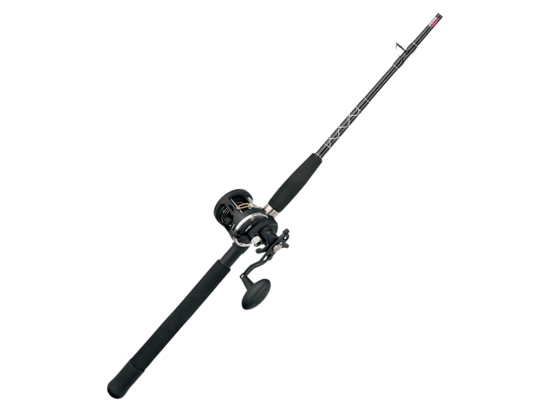 Penn Rival Levelwind Combo Bass Pro Shops