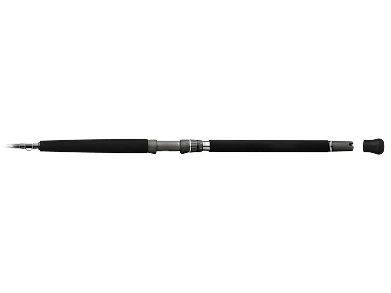 DAIWA - Water Daiwa Dark Water Spinning Rod | Bass Pro Shops