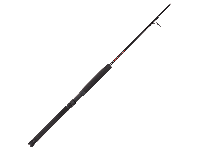 Penn Rampage Jig Spinning Rod | Bass Pro Shops