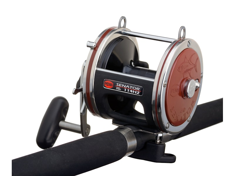 リール penn SENATOR 113-H Penn 113H Narrow Special 4/0 Senator W/Accurate Accuframes