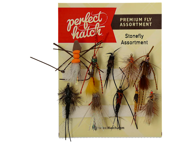 Stonefly Collector's Edition ストーンフライ Stonefly