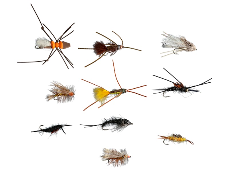 Stonefly Collector's Edition ストーンフライ Stonefly Collector's Edition ストーンフライ 楽天市場