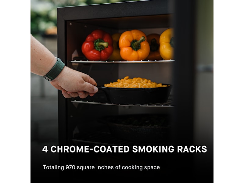 Brown Sugar Cold Smoked Salmon Masterbuilt Masterbuilt 40