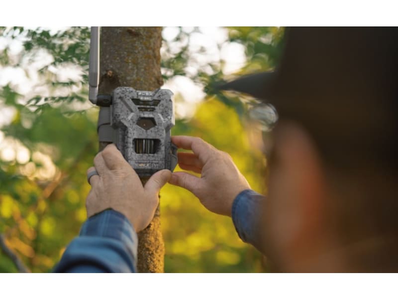 Spypoint Best Cellular Trail Camera Reviews 2025 Spypoint LINK