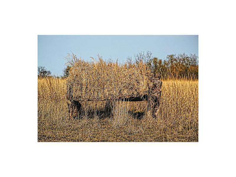 81812-151156_main?pgw=1