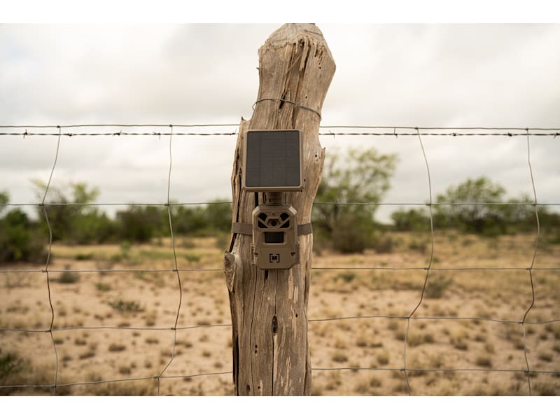 Moultrie Canadian Tire Wildlife Camera Moultrie Tripod Deer Feeder