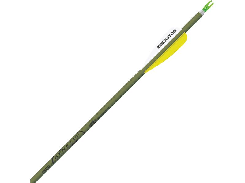 deajmpj4652UNITED ARROWS & SONS【PE V Easton XX75 Genesis NASP Arrows | Bass Pro Shops