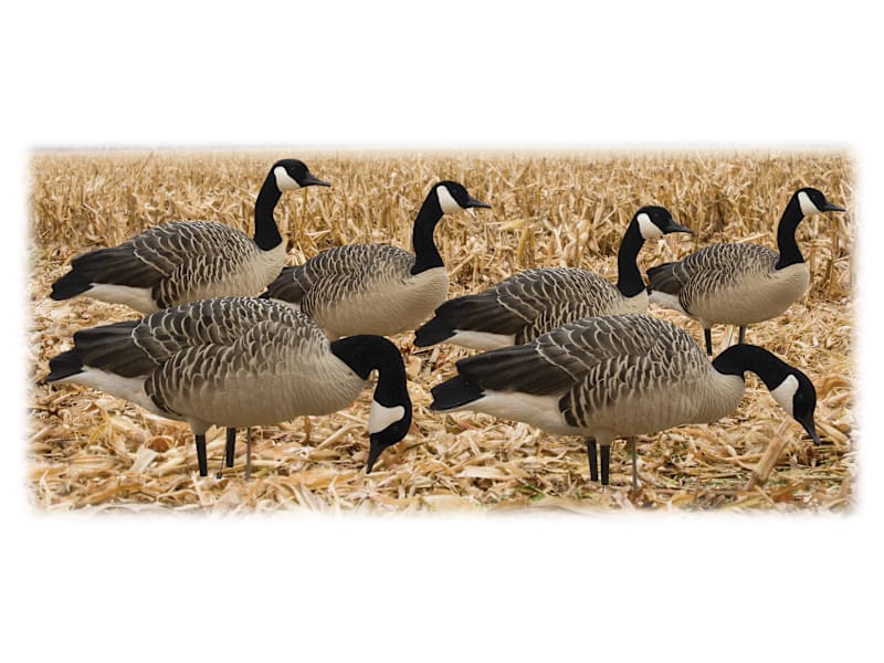 Avian-X AXP Full-Body Canada Goose Decoy Honker Pack