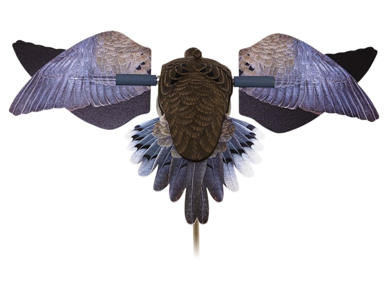  バード　 Dove Avian-X PowerFlight Dove Motorized Decoy | Bass Pro Shops