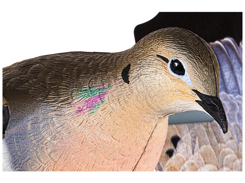  バード　 Dove Avian-X PowerFlight Dove Motorized Decoy | Bass Pro Shops