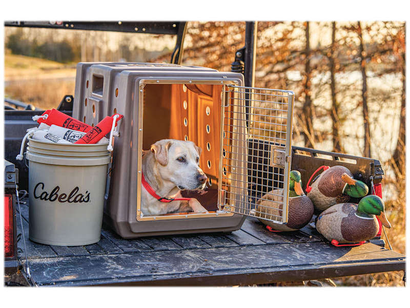 Dog Crate Gsp Kennels Cabela's GunDog Intermediate Dog Kennel