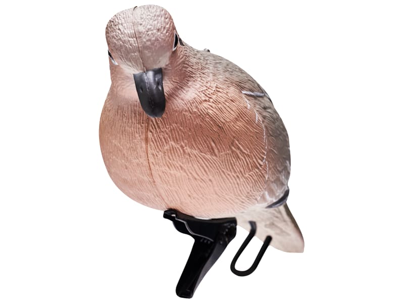 DOVE タッパー Cabela's Oversized Dove Decoys 4 Pack | Bass Pro Shops