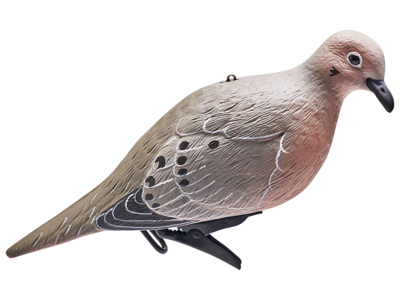 DOVE タッパー Cabela's Oversized Dove Decoys 4 Pack | Bass Pro Shops